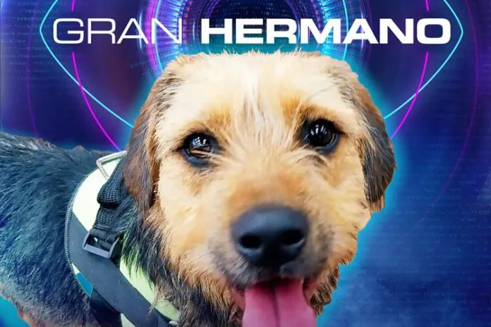 Gran Hermano - Bigote