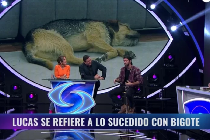 Gran Hermano Chile - Lucas Crespo
