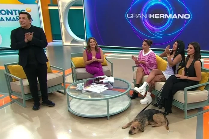 Pincoya, Scarlette y Cony en Chilevisión